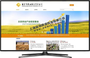 松江地區(qū)網(wǎng)站服務(wù)全攻略 從設(shè)計(jì)、改版到維護(hù)與咨詢